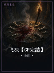 飞灰【CP完结】