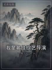 我是最佳综艺导演