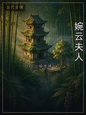 婉云夫人