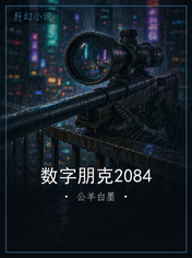 数字朋克2084