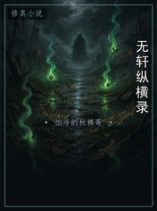 无轩纵横录