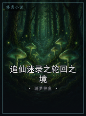 追仙迷录之轮回之境