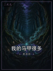 我的马甲很多