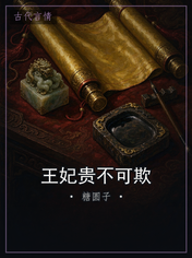 王妃贵不可欺