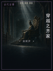 穿越之齐家