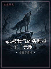 npc被我气的头都掉了［无限］
