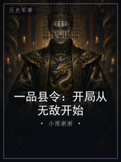 一品县令：开局从无敌开始