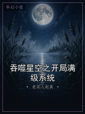 吞噬星空之开局满级系统