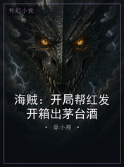 海贼：开局帮红发开箱出茅台酒