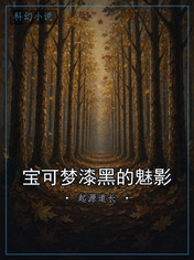宝可梦漆黑的魅影