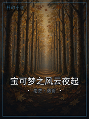宝可梦之风云夜起