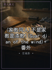 (家教同人)不是家教是渣教!(Guar dian of the wind)+番外