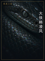 大侠韩凌风
