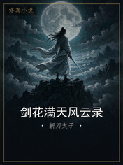 剑花满天风云录