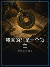 我真的只是一个领主