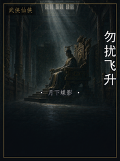 勿扰飞升