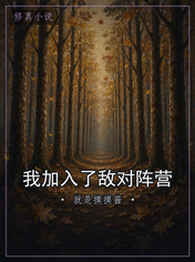 我加入了敌对阵营