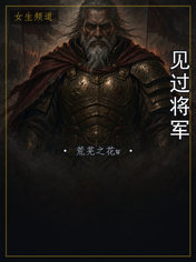 见过将军