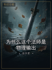 为什么这个法师是物理输出
