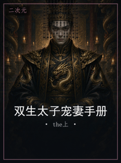 双生太子宠妻手册