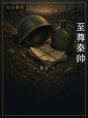 至尊秦帅