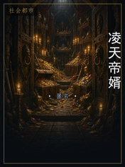 凌天帝婿