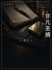 非凡圣婿