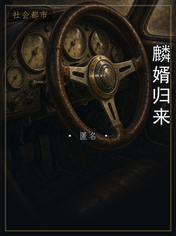 麟婿归来