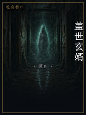 盖世玄婿