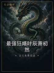 最强狂婿叶辰萧初然