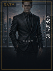 大观风华录