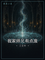 我家师兄有点废