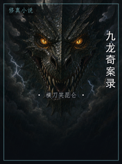 九龙奇案录