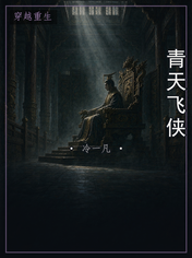 青天飞侠