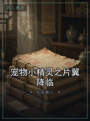 宠物小精灵之片翼降临