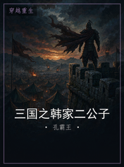 三国之韩家二公子