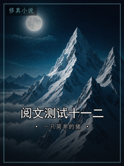 阅文测试十一二
