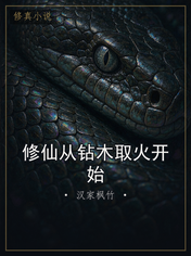 修仙从钻木取火开始