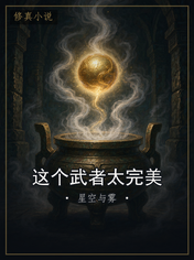这个武者太完美