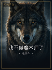 我不做魔术师了