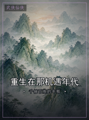 重生在那机遇年代