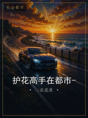 护花高手在都市-