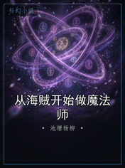 从海贼开始做魔法师