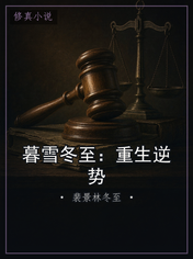 暮雪冬至：重生逆势