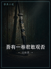 吾有一卷君敢观否