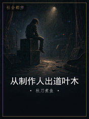 从制作人出道叶木