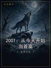 2001:从今天开始当首富