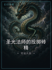 圣光法师的投掷砖精