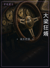 大梁狂婿