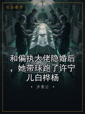 和偏执大佬隐婚后，她带球跑了许宁儿白桦杨